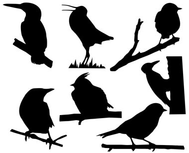 Small birds on branch tree clipart