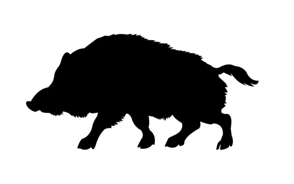 Silhouette of the wild boar — Stock Photo, Image