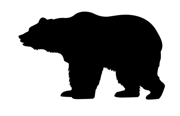 Sylwetka niedźwiedź — Zdjęcie stockowe