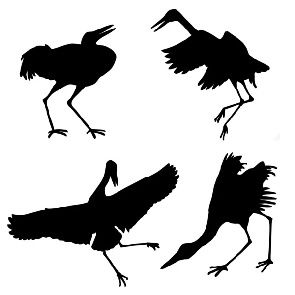 Silhouette of the cranes — Stock Photo, Image