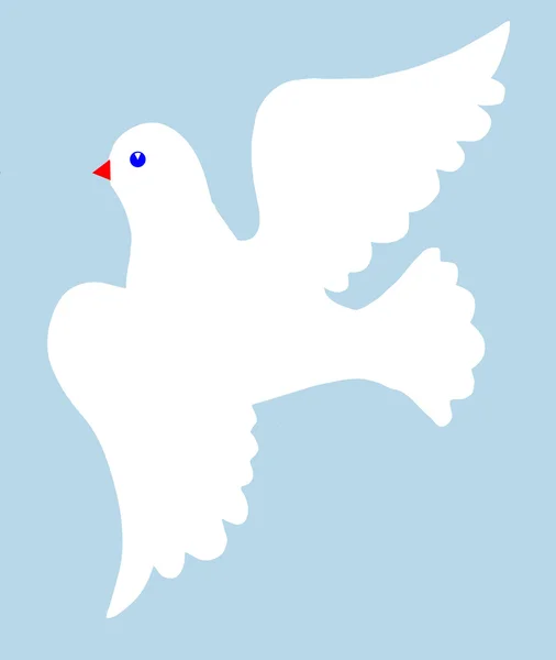 Dove on blue background — Stock Photo, Image