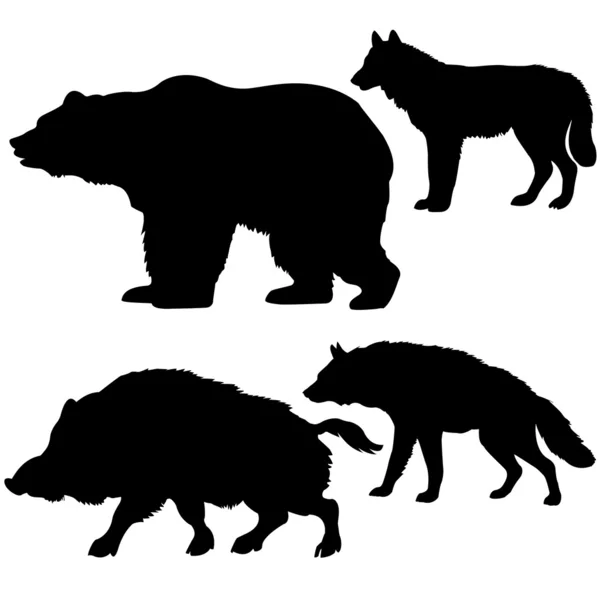 野生のイノシシ、クマ、オオカミ、ハイエナ — ストック写真