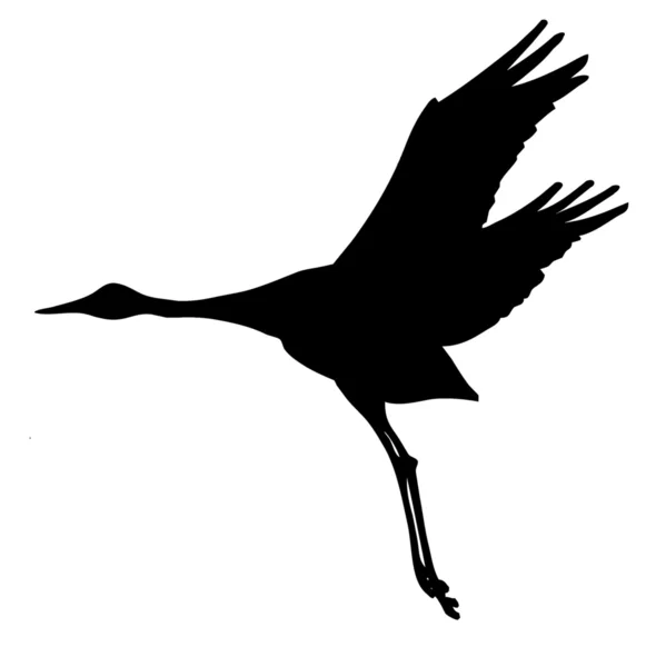Silhouette of the crane — Stock Photo, Image