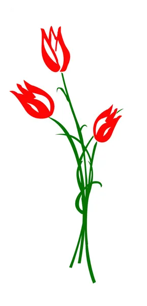Drawing tulip — Stock Photo, Image