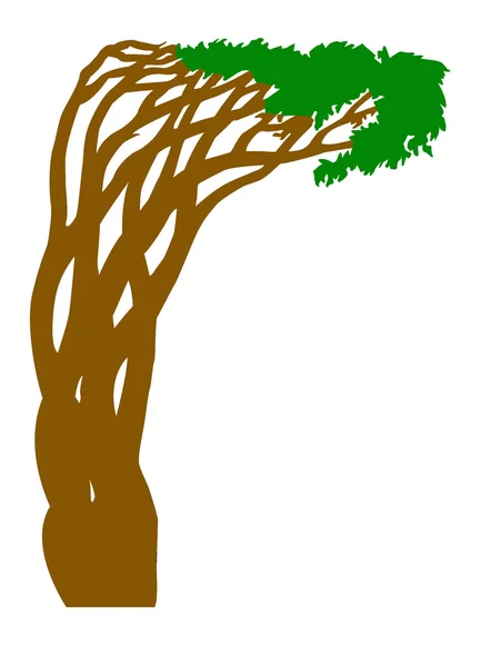 Абстрактное дерево силуэта — стоковое фото