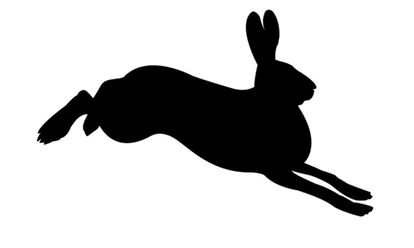 Silhouette of the rabbit — Stock Photo, Image