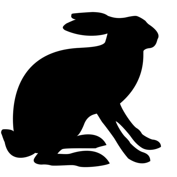 Заяц-иллюстрация — стоковое фото