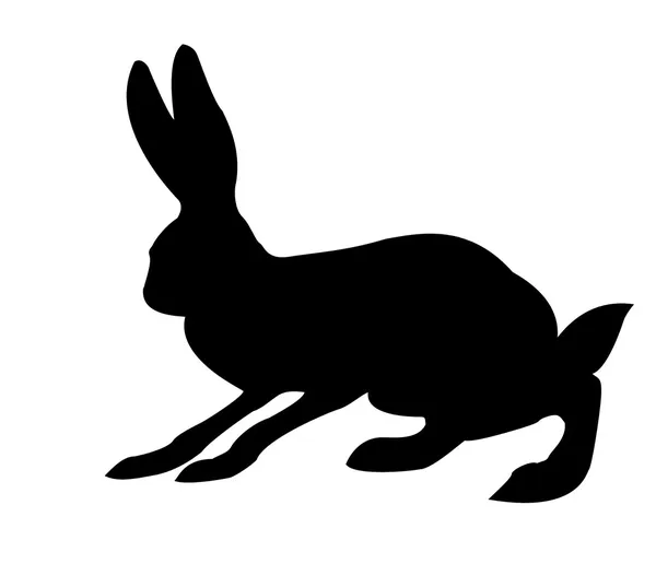 Silhouette of the rabbit — Stock Photo, Image