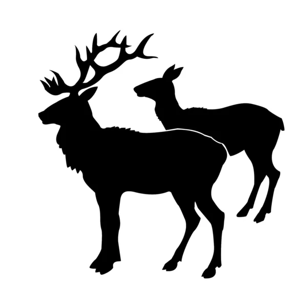 Illustration of the deers — Stock Photo, Image