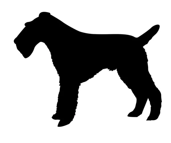 Silhouette of the fox terrier — Stock Photo, Image