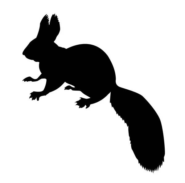 Σιλουέτα της σκίουρος — Φωτογραφία Αρχείου