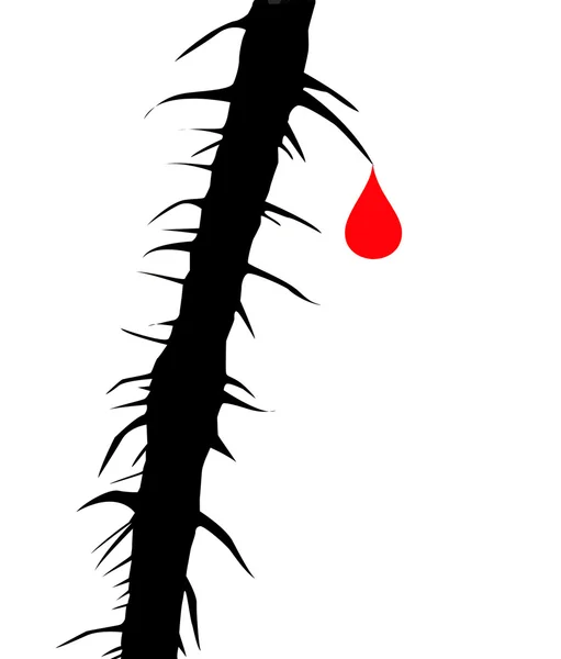 Tropfen Blut auf den Dorn der Wildrose — Stockfoto