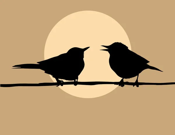 Silhouette two birds — Stock Photo, Image