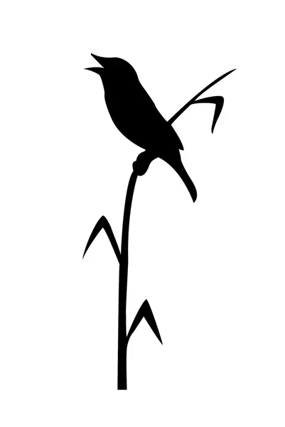 Tekening van de vogel — Stockfoto