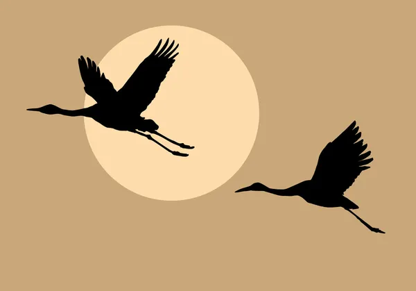 Силуэты летающих журавлей — стоковое фото