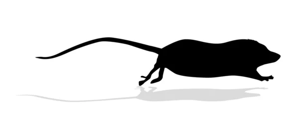 剪影鼠标 — 图库照片