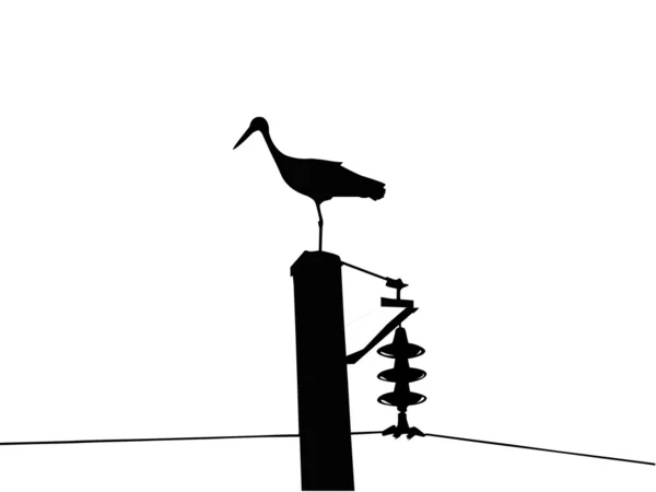 Crane on white background — Stock Photo, Image