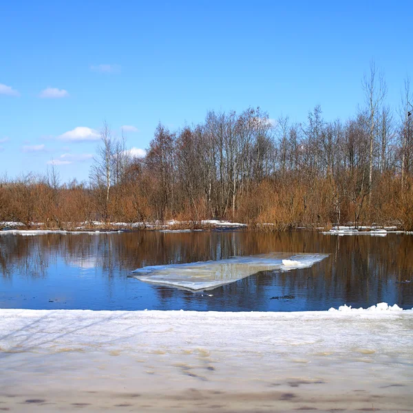 Nehirde buz sürüşü — Stok fotoğraf