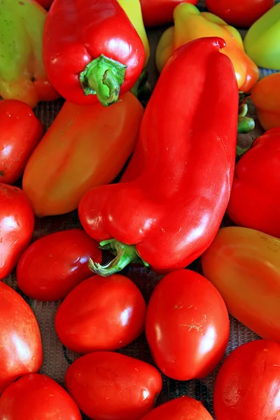 Tomatoes and pepper — Stock Photo, Image