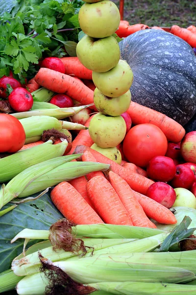 Vegetable background — Stock Photo, Image