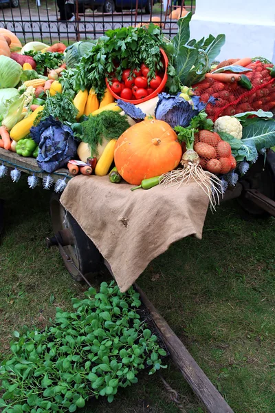 Gemüse im Einkaufswagen — Stockfoto