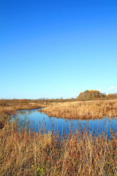 Pequeno rio no campo amarelo — Fotografia de Stock