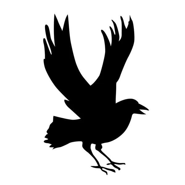Силуэт ворона — стоковое фото