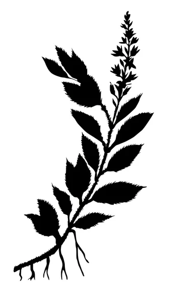 Σιλουέτα πεδίο φυτών — Φωτογραφία Αρχείου