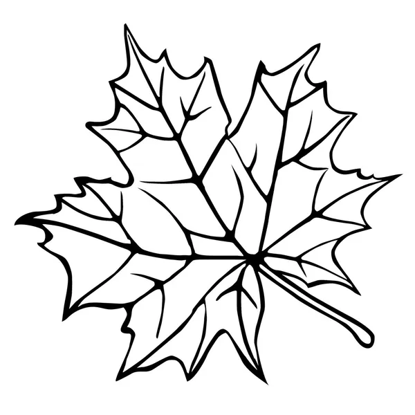 Silhouette of the maple leaf — Stock Photo, Image