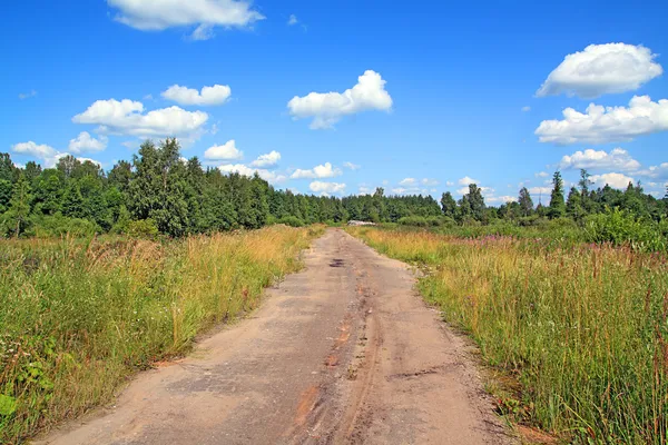 Envelhecimento estrada rural — Fotografia de Stock