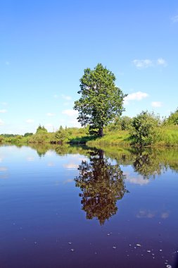 Oak Nehri kıyısında