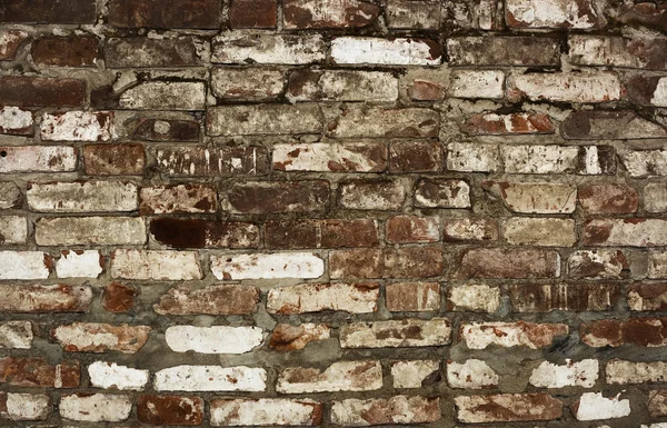 Ziegelmauer — Stockfoto