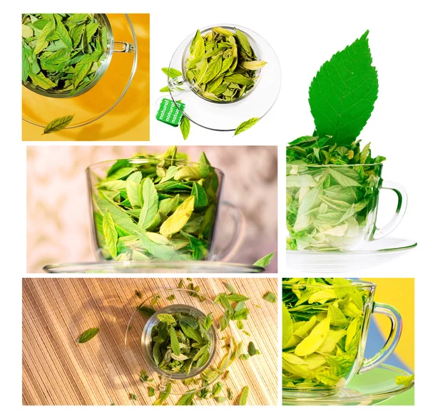 Концепція зеленого чаю — стокове фото