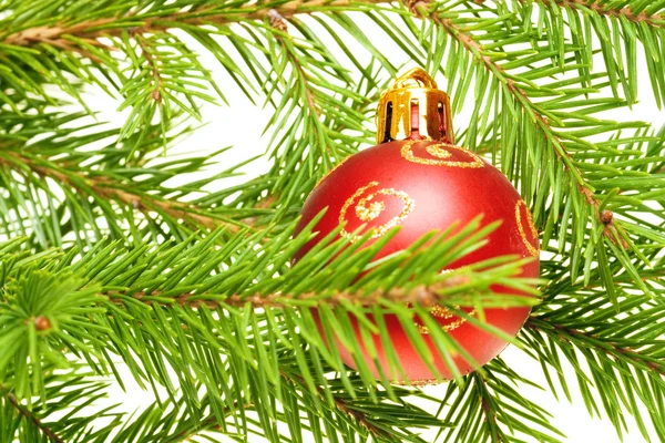 Christmas decoration Stock Image