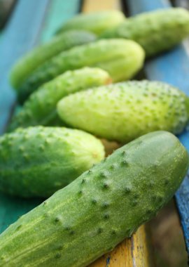 Fresh cucumbers clipart