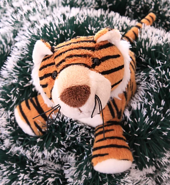 Sylwestrowe tygrysa cub. — Zdjęcie stockowe