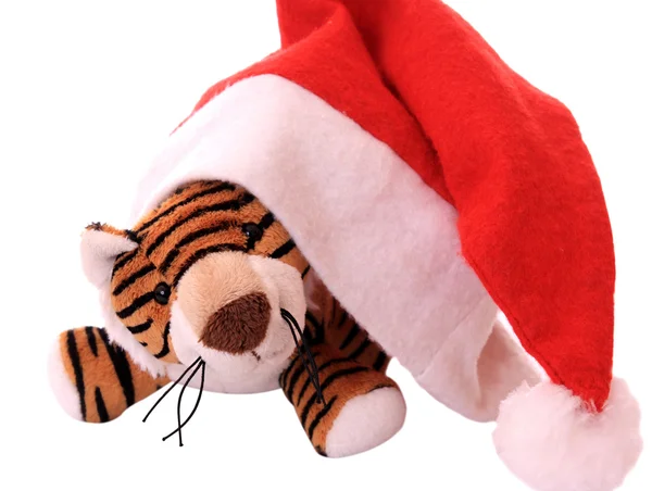 Neujahr-Tigerbaby. — Stockfoto