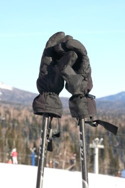 Mountain-skier gloves. clipart