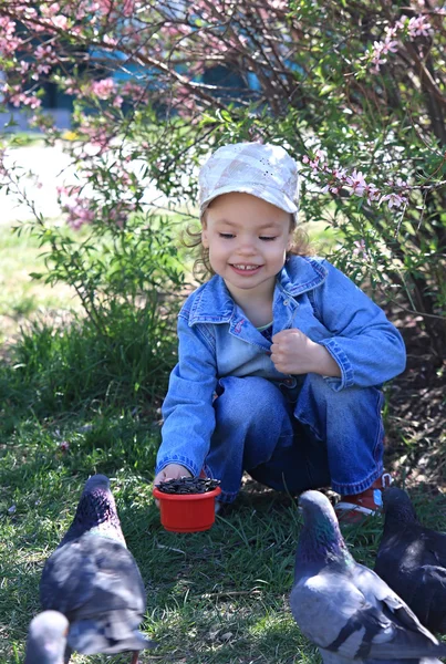 Uma menina alimenta pombos . — Fotografia de Stock