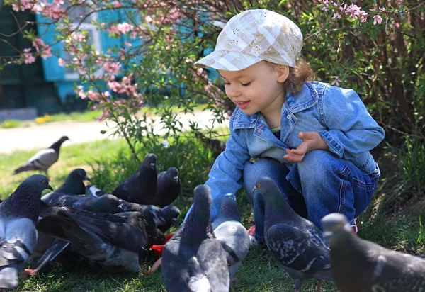 Uma menina alimenta pombos . — Fotografia de Stock