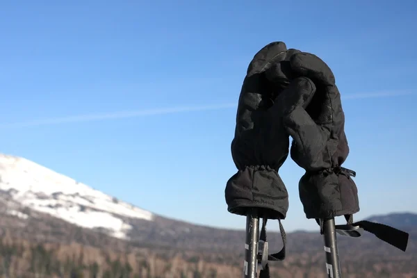 Berg-skiër handschoenen. — Stockfoto