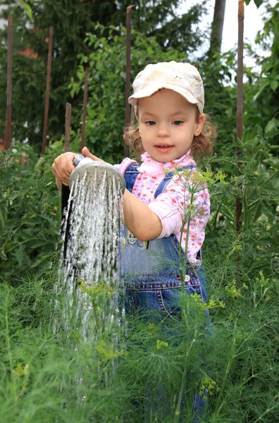 Mädchen gießt einen Gemüsegarten. — Stockfoto