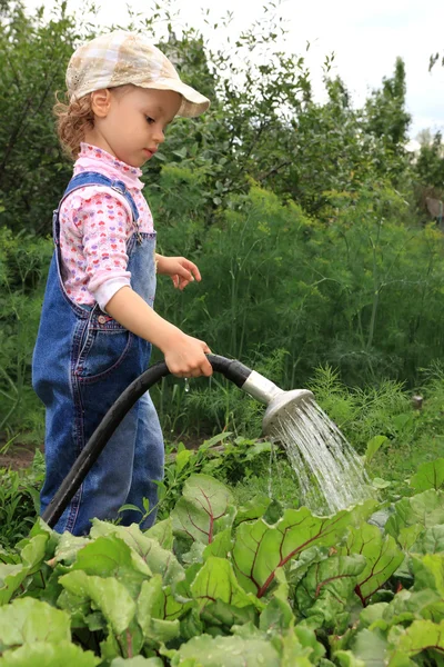 少女は家庭菜園を注ぐ. — ストック写真