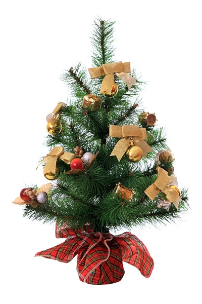 New-year tree — Stock Photo, Image