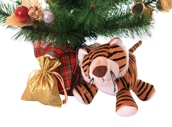 New-year tiger cub with gift. — Stock Photo, Image
