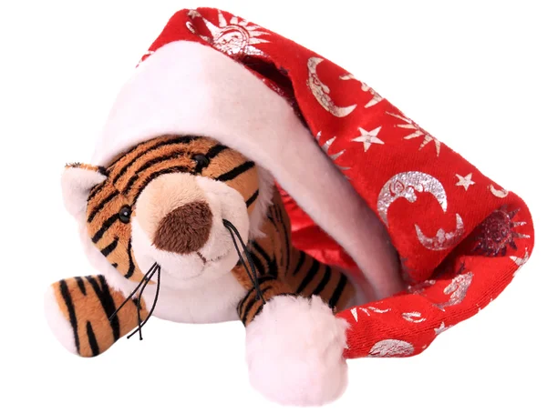 New-year tiger cub. — Stock Photo, Image