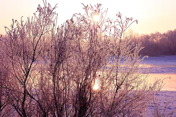 Зимний пейзаж. Закат . — стоковое фото