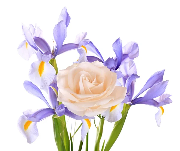 Rose en iris — Stockfoto