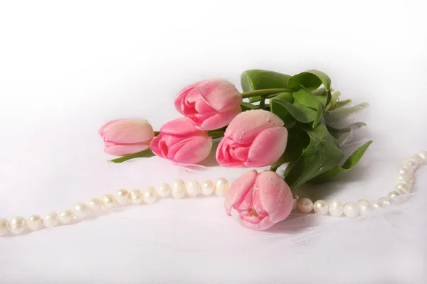 stock image Beautiful pink tulips