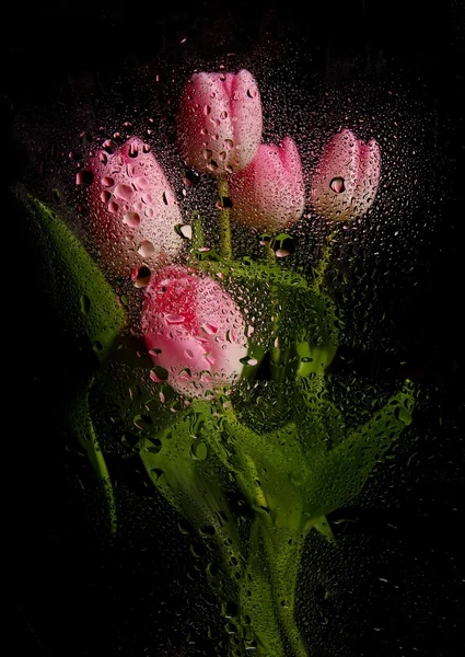 美丽的郁金香花束 — 图库照片